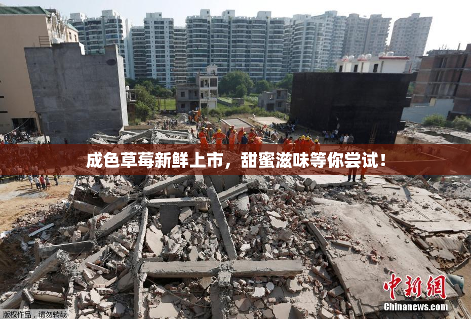 成色草莓新鲜上市，甜蜜滋味等你尝试！