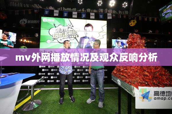 mv外网播放情况及观众反响分析