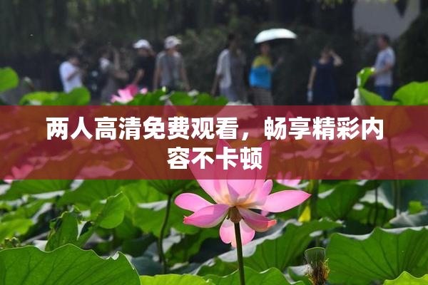 两人高清免费观看，畅享精彩内容不卡顿