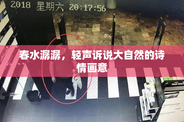 春水潺潺，轻声诉说大自然的诗情画意
