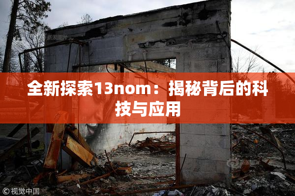 全新探索13nom：揭秘背后的科技与应用