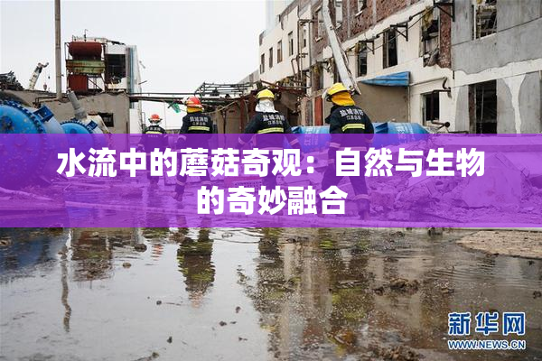 水流中的蘑菇奇观：自然与生物的奇妙融合