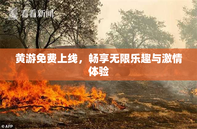 黄游免费上线，畅享无限乐趣与激情体验