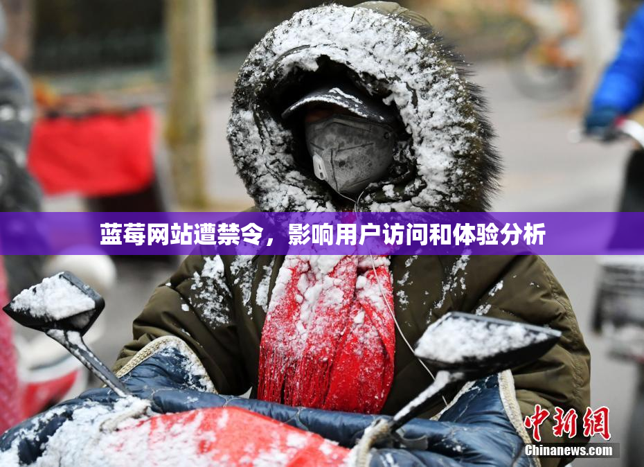 蓝莓网站遭禁令，影响用户访问和体验分析