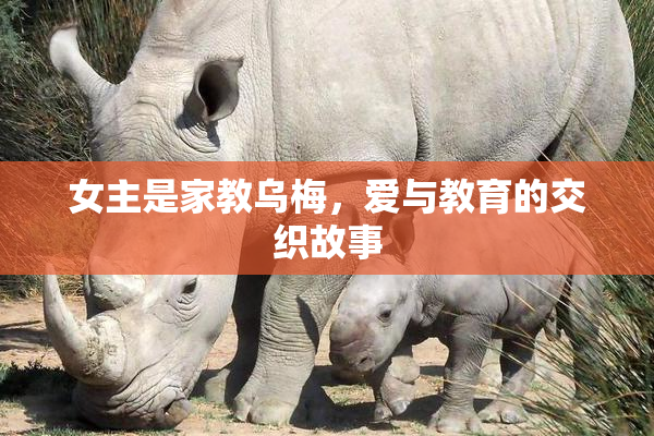 女主是家教乌梅，爱与教育的交织故事