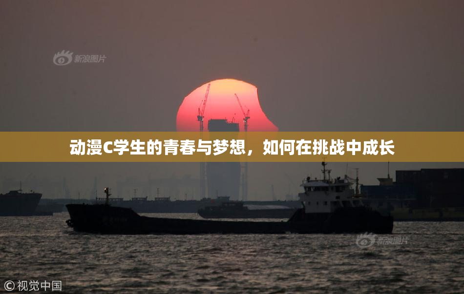 动漫C学生的青春与梦想，如何在挑战中成长