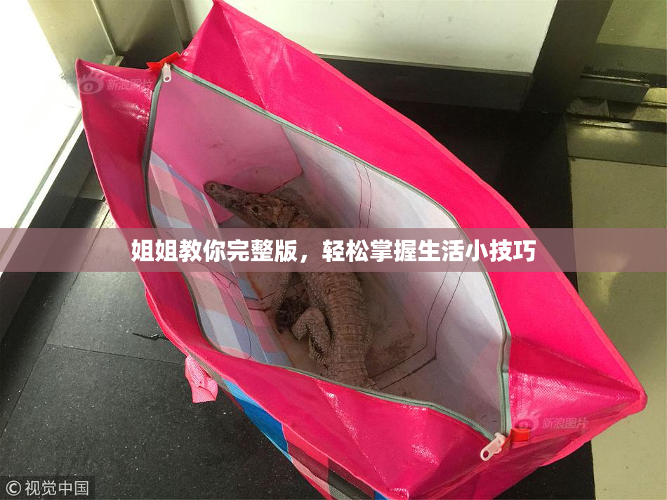 姐姐教你完整版，轻松掌握生活小技巧