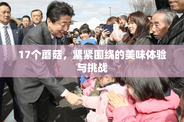 17个蘑菇，紧紧围绕的美味体验与挑战