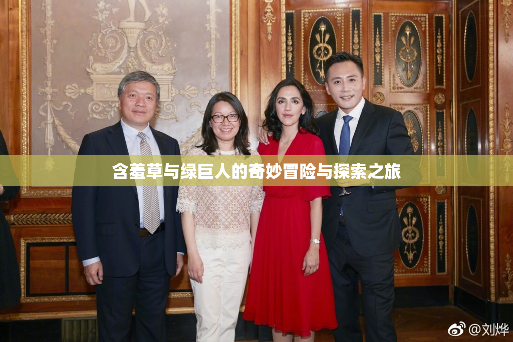 含羞草与绿巨人的奇妙冒险与探索之旅
