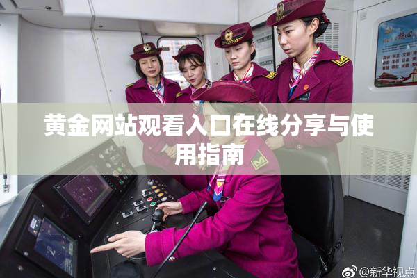 黄金网站观看入口在线分享与使用指南