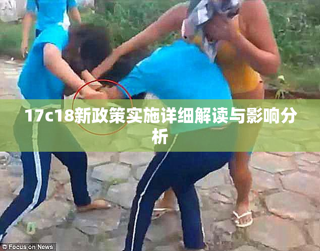 17c18新政策实施详细解读与影响分析