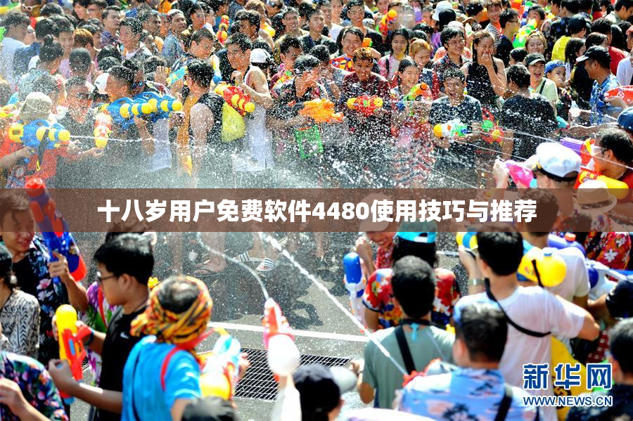 十八岁用户免费软件4480使用技巧与推荐