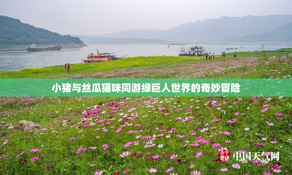 小猪与丝瓜猫咪同游绿巨人世界的奇妙冒险