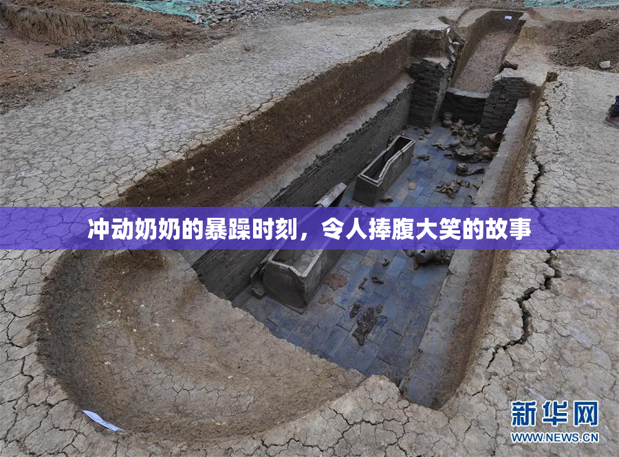 冲动奶奶的暴躁时刻，令人捧腹大笑的故事