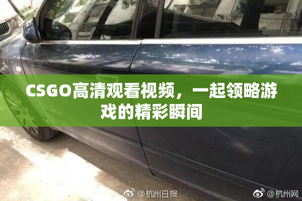 CSGO高清观看视频，一起领略游戏的精彩瞬间