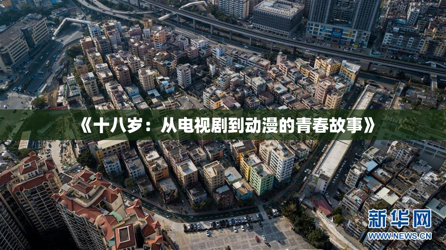 《十八岁：从电视剧到动漫的青春故事》