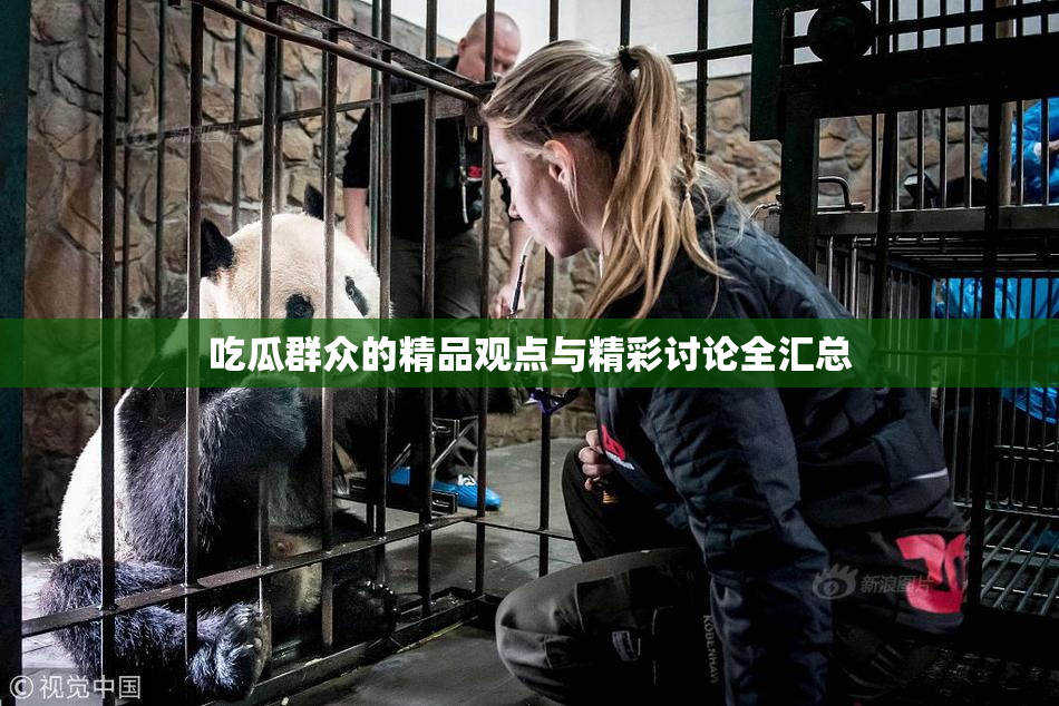 吃瓜群众的精品观点与精彩讨论全汇总