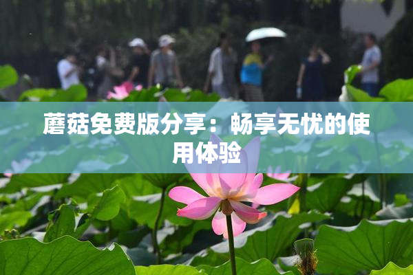 蘑菇免费版分享：畅享无忧的使用体验