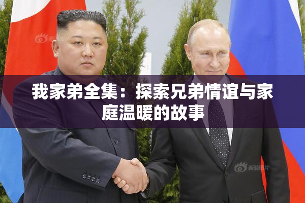 我家弟全集：探索兄弟情谊与家庭温暖的故事