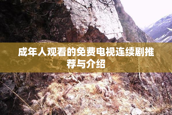 成年人观看的免费电视连续剧推荐与介绍