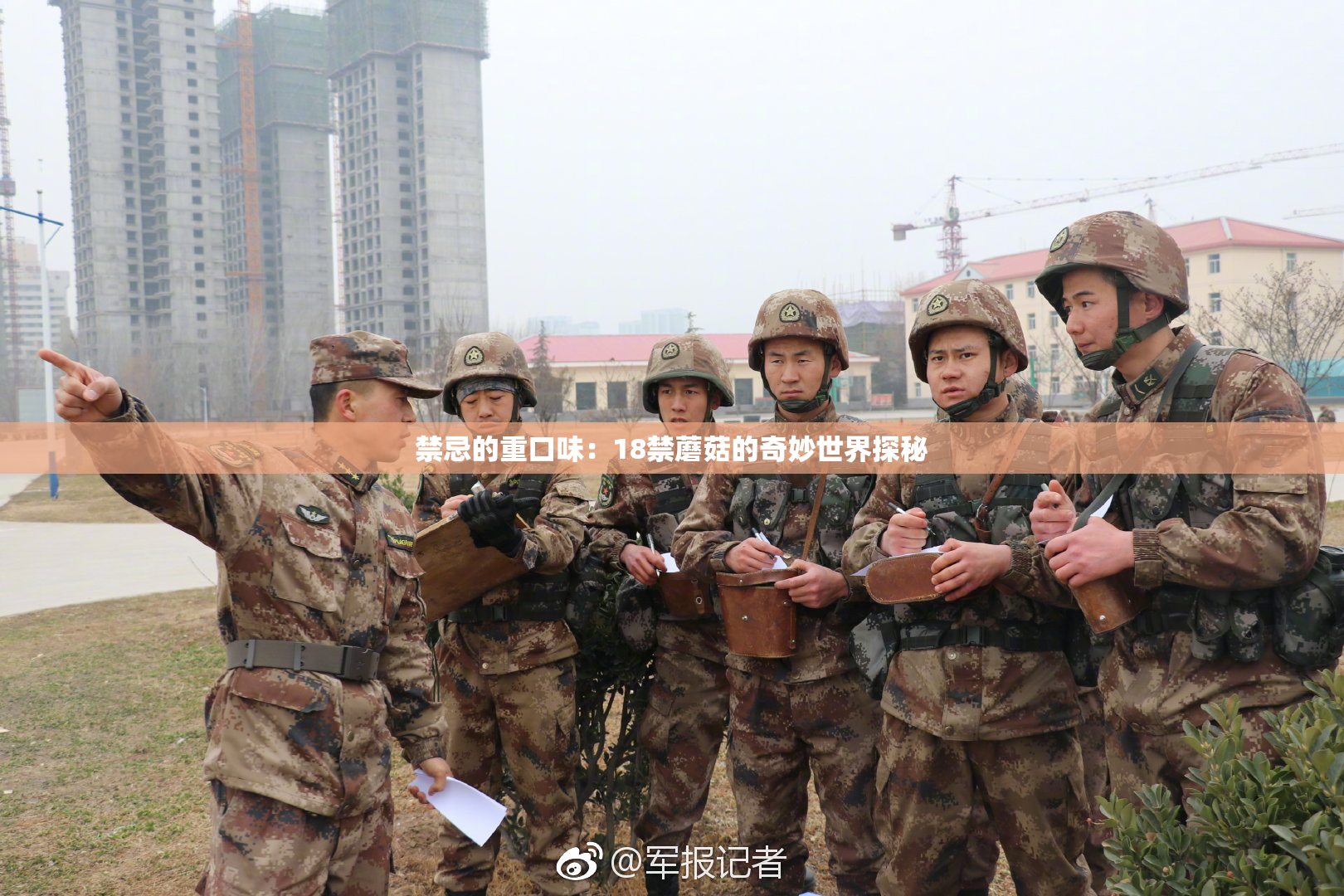 禁忌的重口味：18禁蘑菇的奇妙世界探秘