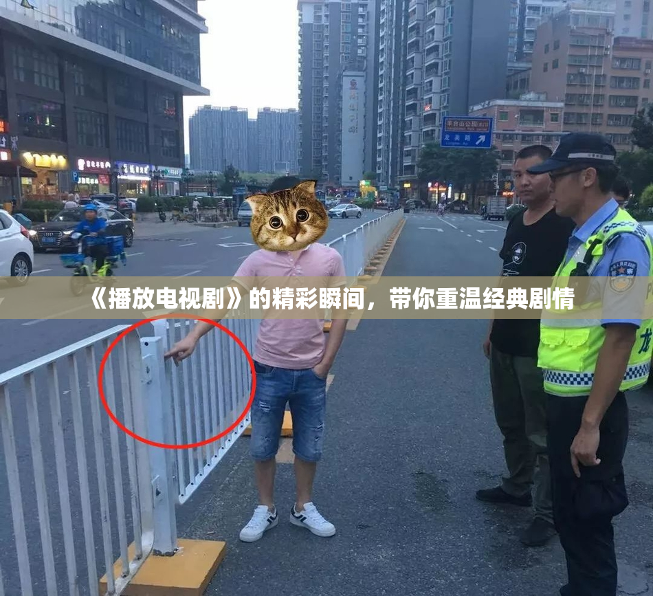 《播放电视剧》的精彩瞬间，带你重温经典剧情