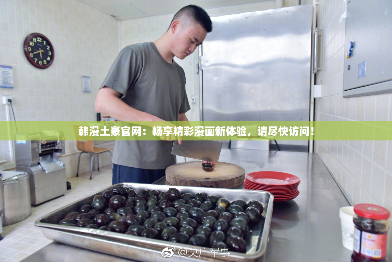 韩漫土豪官网：畅享精彩漫画新体验，请尽快访问！