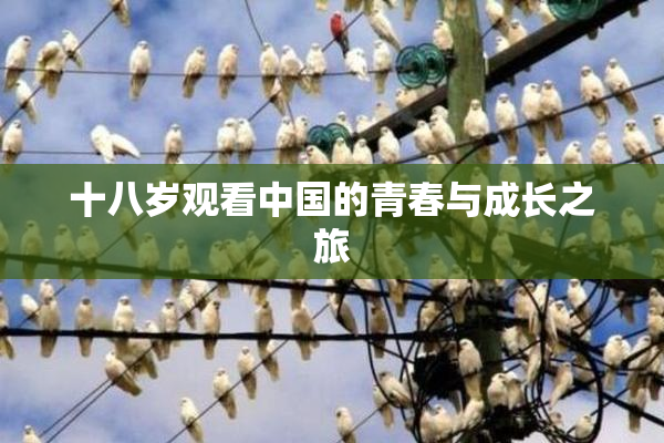 十八岁观看中国的青春与成长之旅