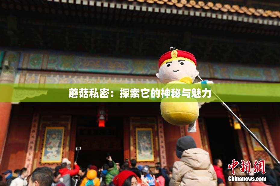 蘑菇私密：探索它的神秘与魅力