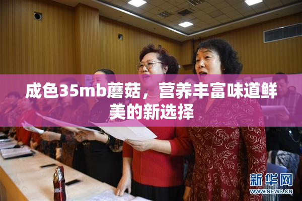 成色35mb蘑菇，营养丰富味道鲜美的新选择