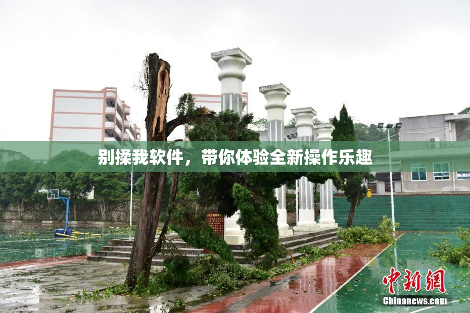 别揉我软件，带你体验全新操作乐趣