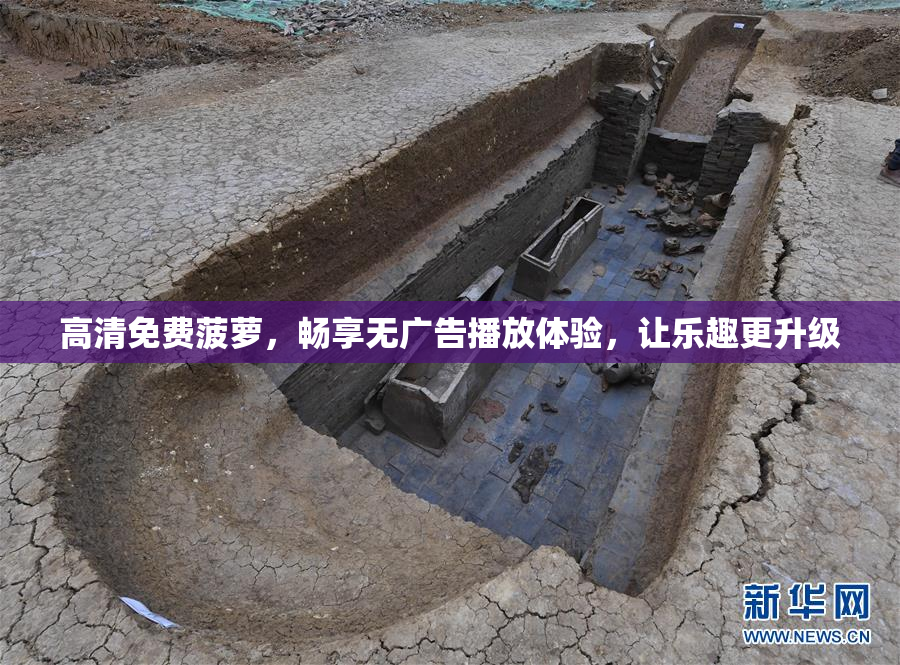 高清免费菠萝，畅享无广告播放体验，让乐趣更升级