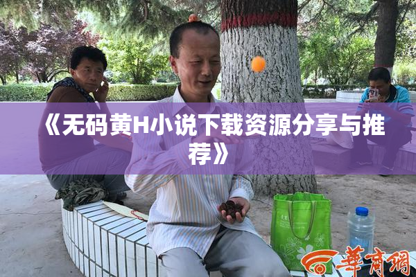 《无码黄H小说下载资源分享与推荐》