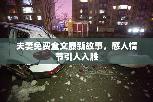 夫妻免费全文最新故事，感人情节引人入胜