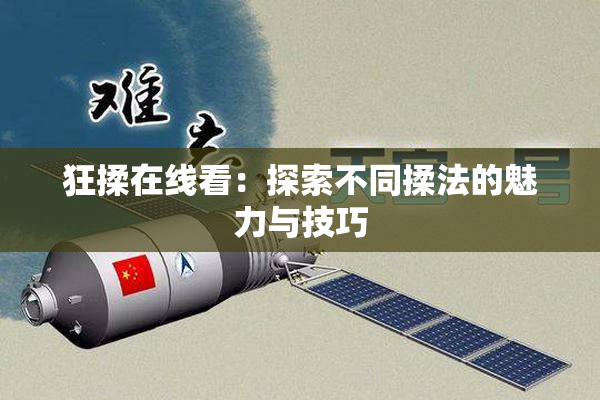 狂揉在线看：探索不同揉法的魅力与技巧