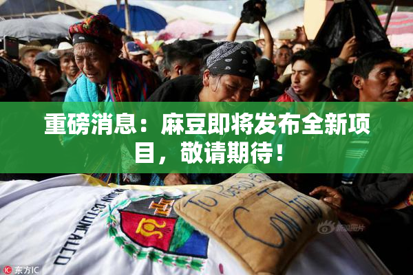 重磅消息：麻豆即将发布全新项目，敬请期待！