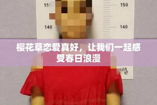 樱花草恋爱真好，让我们一起感受春日浪漫
