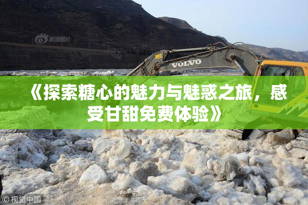 《探索糖心的魅力与魅惑之旅，感受甘甜免费体验》