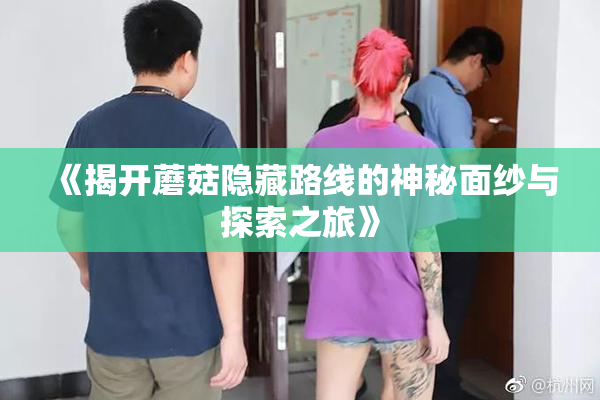 《揭开蘑菇隐藏路线的神秘面纱与探索之旅》