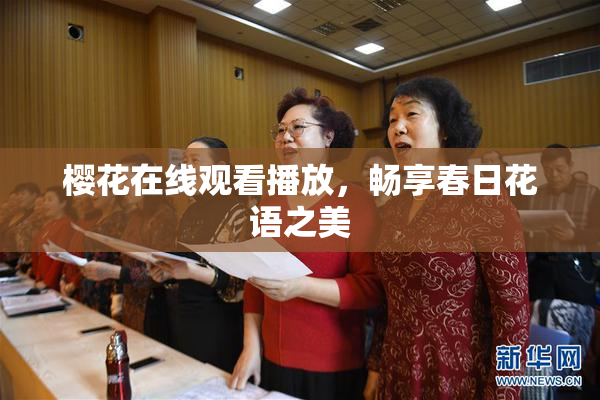 樱花在线观看播放，畅享春日花语之美