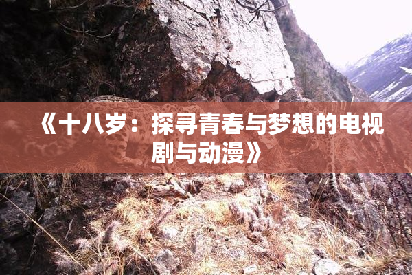 《十八岁：探寻青春与梦想的电视剧与动漫》