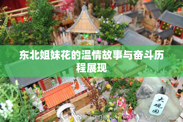 东北姐妹花的温情故事与奋斗历程展现