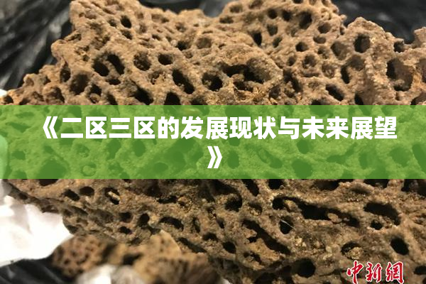 《二区三区的发展现状与未来展望》
