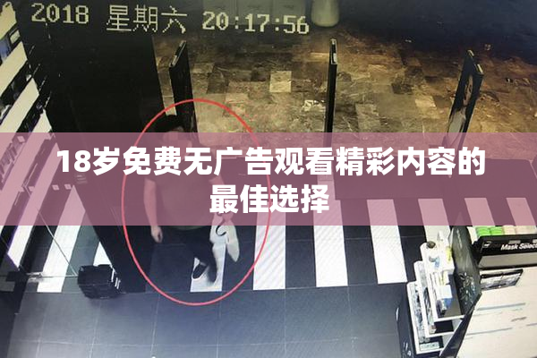 18岁免费无广告观看精彩内容的最佳选择