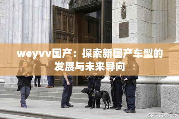 weyvv国产：探索新国产车型的发展与未来导向
