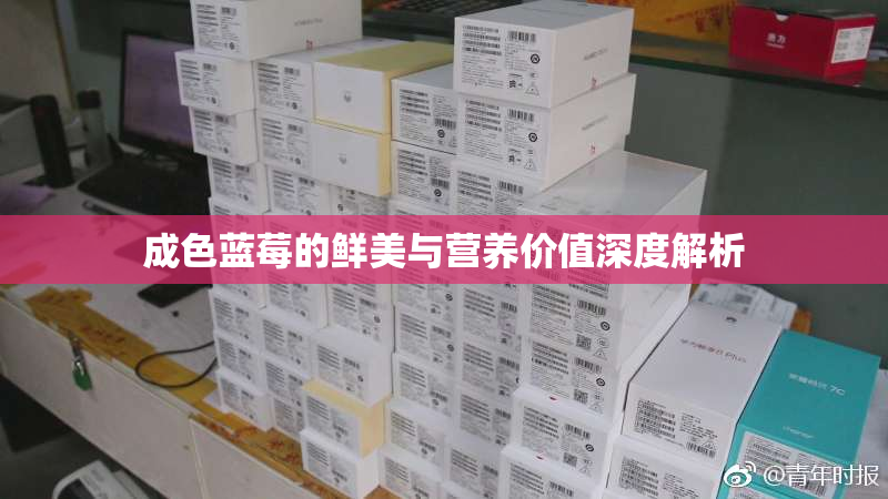成色蓝莓的鲜美与营养价值深度解析
