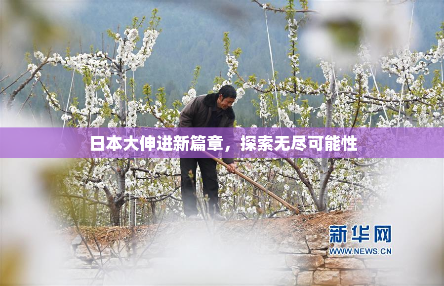 日本大伸进新篇章，探索无尽可能性