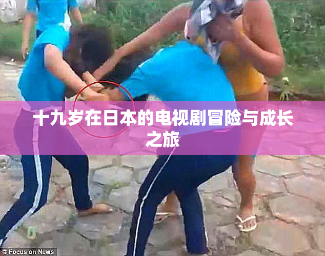 十九岁在日本的电视剧冒险与成长之旅