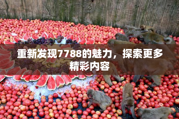 重新发现7788的魅力，探索更多精彩内容