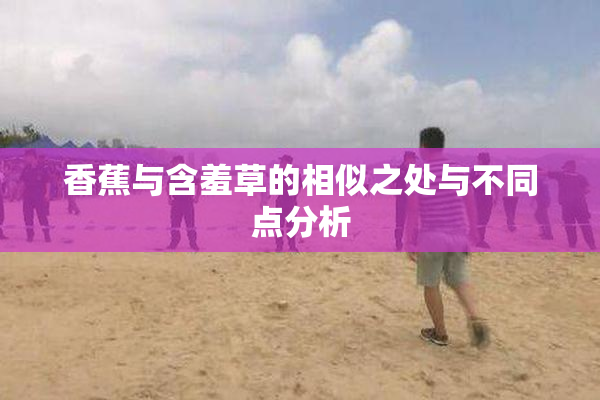 香蕉与含羞草的相似之处与不同点分析